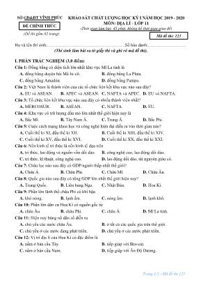 Đề khảo sát chất lượng học kì I môn Địa lý Lớp 11 - Mã đề 123 - Năm học 2019-2020 - Sở giáo dục và đào tạo Vĩnh Phúc